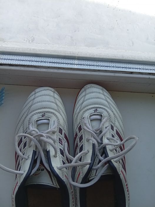 Сороконожкий хороший