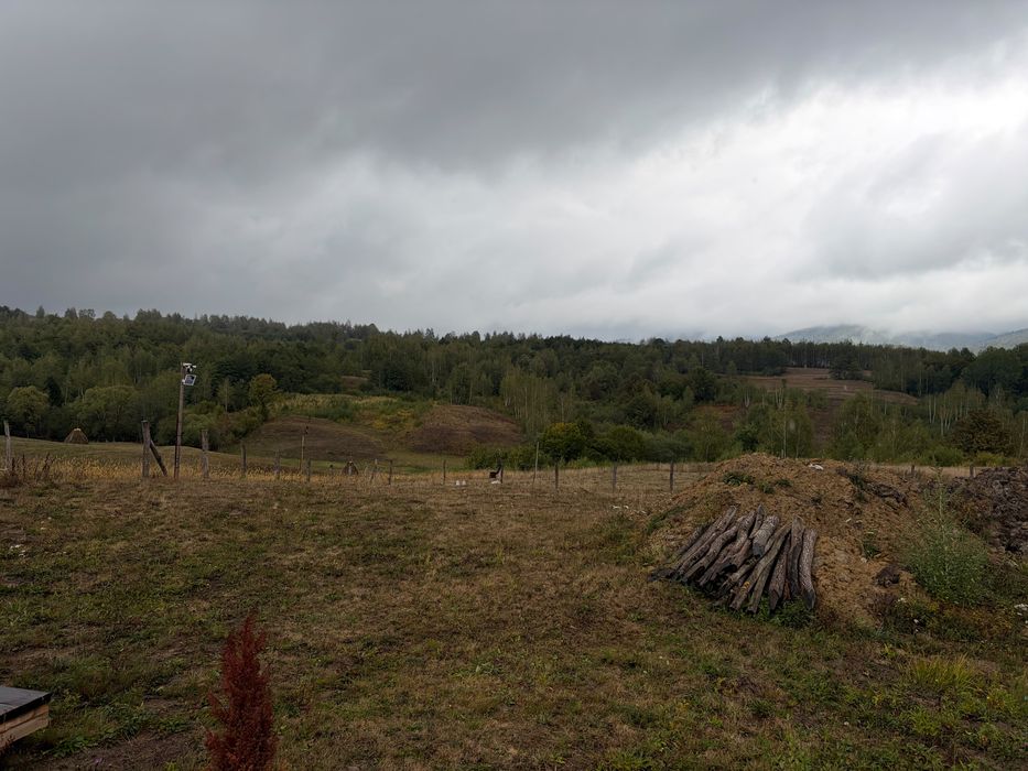 Teren extravilan Vânători Ciucea zonă de exceptie