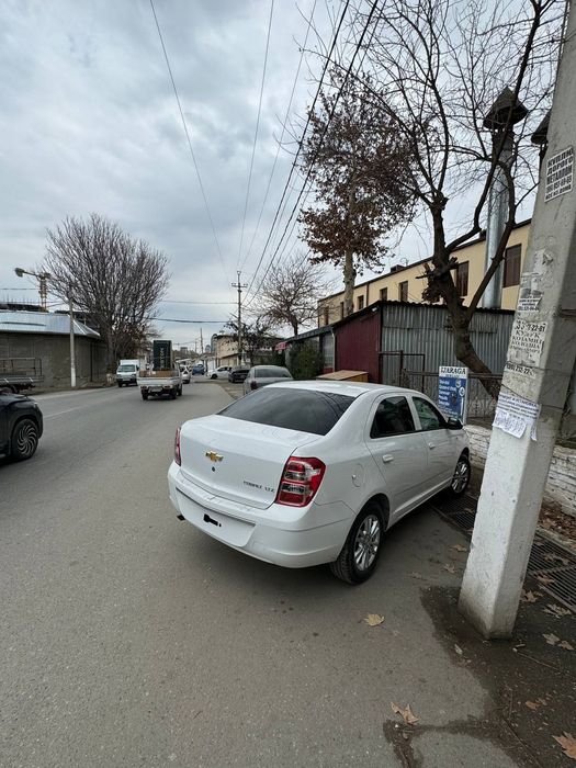 Кобальт cobalt 2023