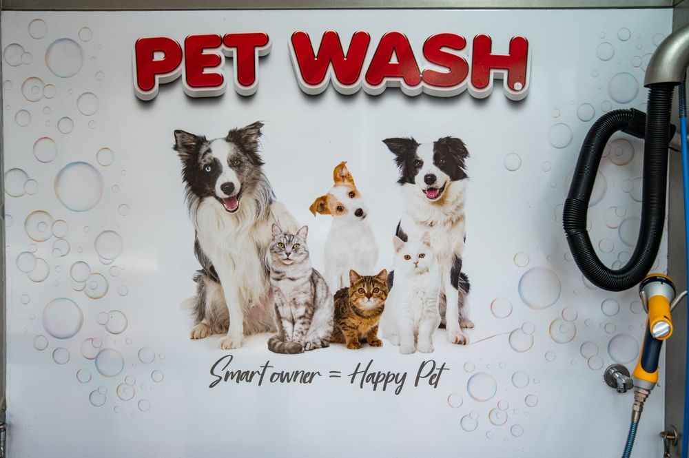 Spălătorie canină