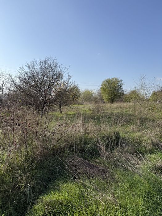 Продава се Парцел в с. Тополи, Област Варна - 9500 кв.м за 16 €/кв.м - Снимка #4