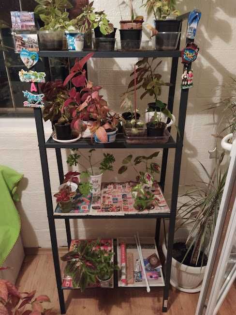 етажерка LERBERG