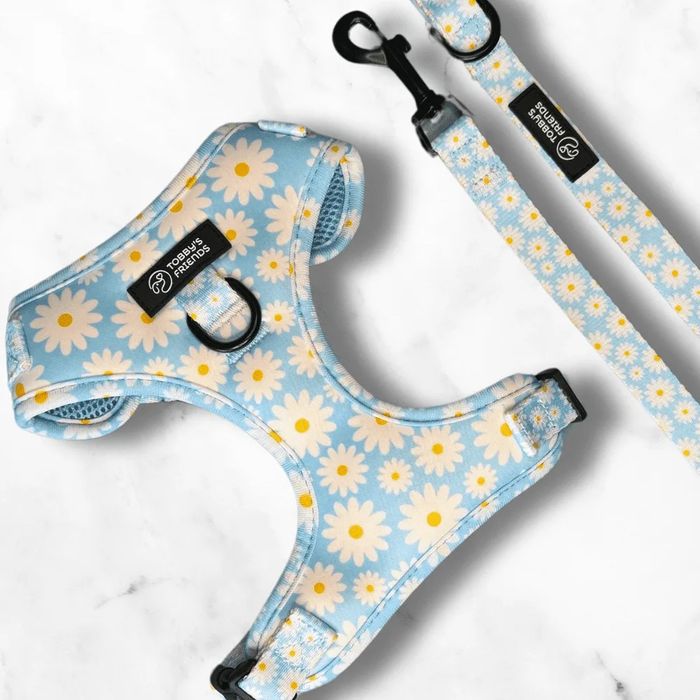 Кучешки нагръдник и повод - различни модели