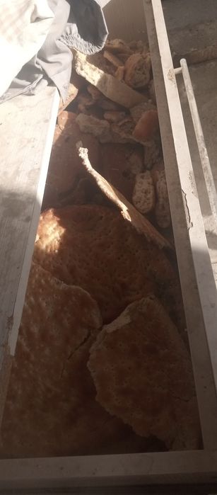 Asalomu aleykum Em hashak ut