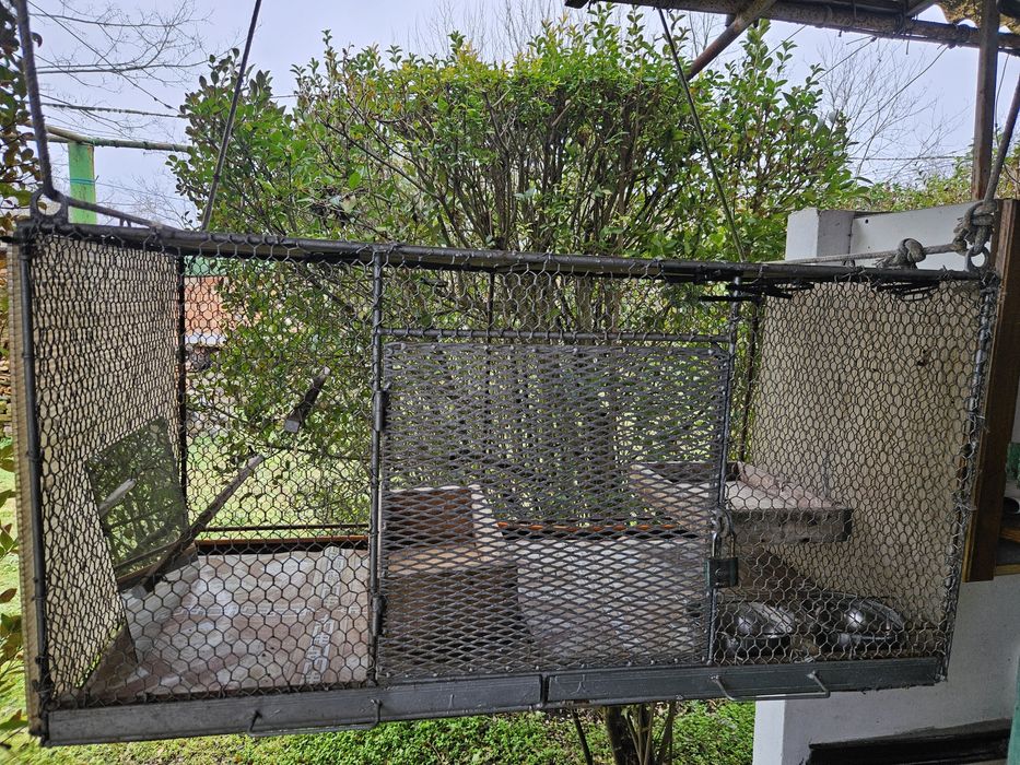 Масивна клетка за птици