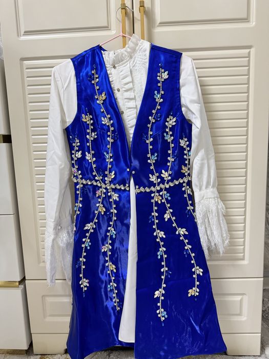 Milliy ansabil koylak
