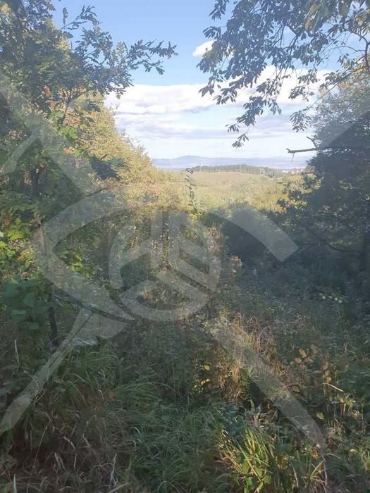 Парцел № 38973, в.з. Люлин