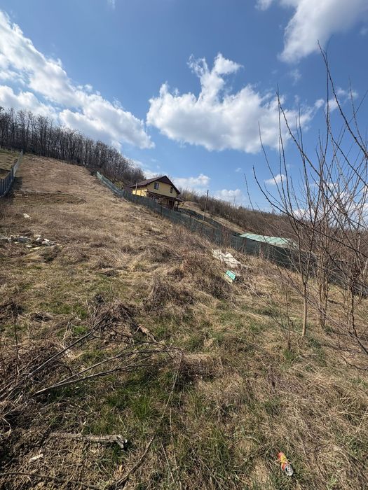 Teren intravilan Onesti