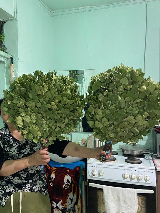 Продам веник костанай