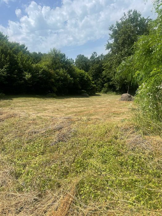 Teren extravilan de vanzare -faneata