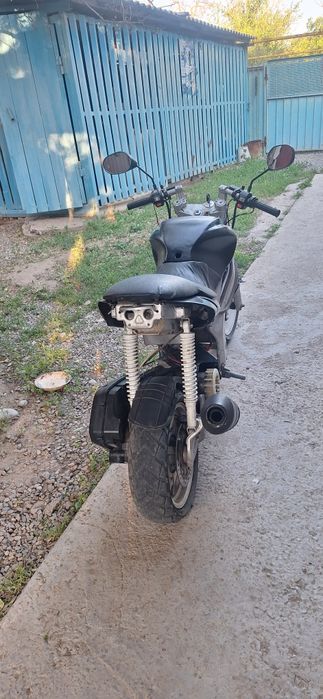 Peda Hornet v2 2012