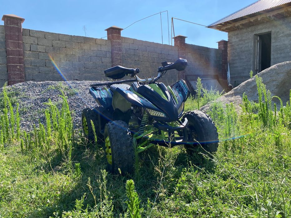 Квадроцикл tao motor berkut