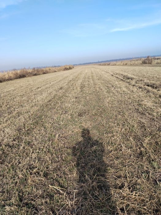 Продам землю К/Х