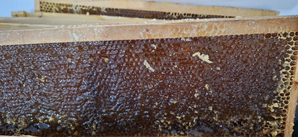 Vând miere poliflora 200 kg