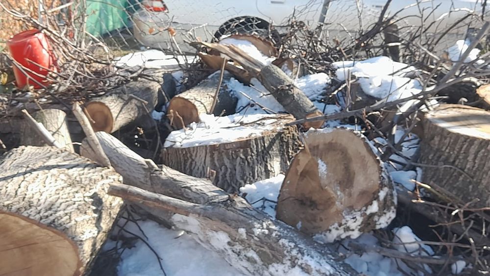 Отдам дрова даром