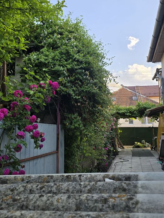 Vând Casă zona Calea Dumbrăvii-strada Bacovia 545.000 euro