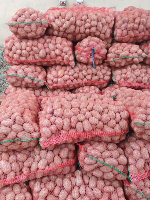 Cartofi roșii și albi