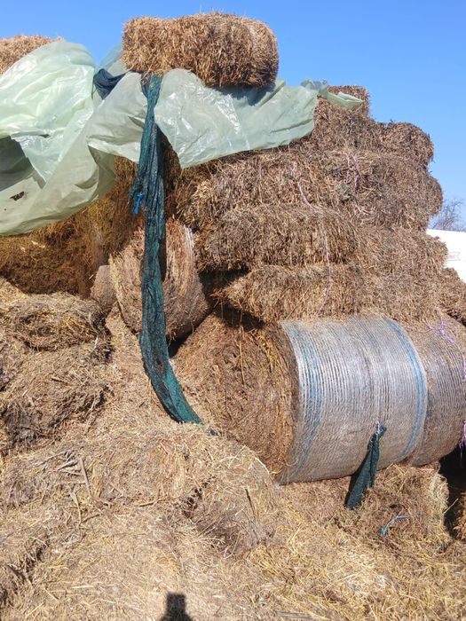 Vand baloti de lucerna