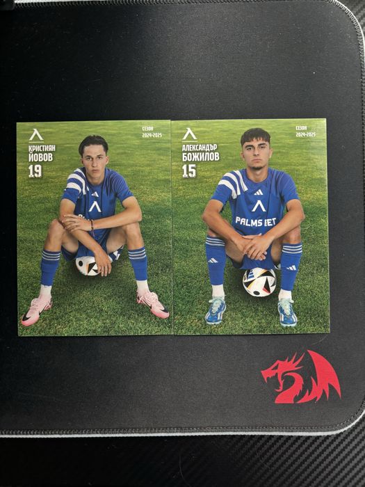 Левски София Карти 2024/25