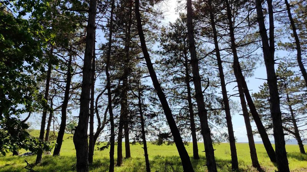 Парцел в Ахтопол 760кв. с гледка към морето.