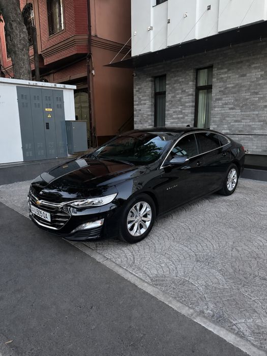 Malibu Premier - Tozza