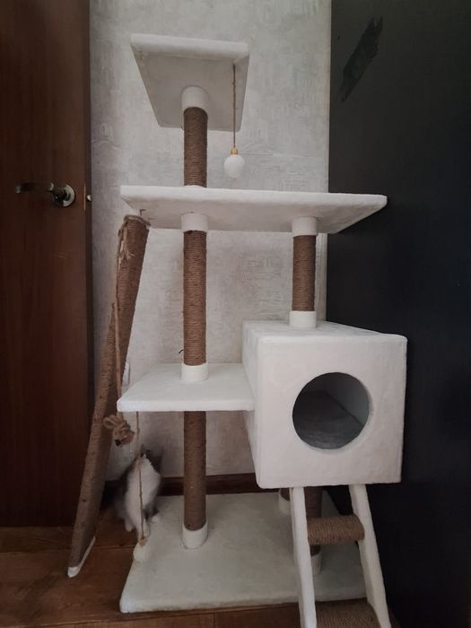 Продам когтеточка 35000