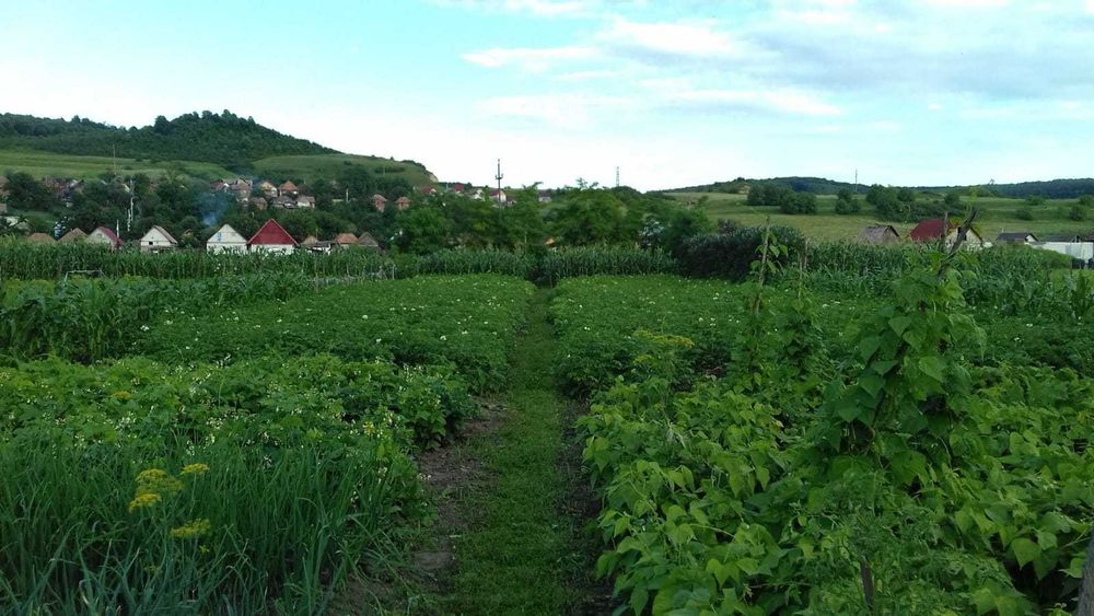 Vand casa in Petelea, la 5,5 km de Reghin, Mures