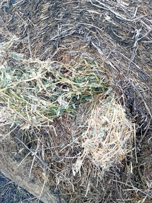 Baloți lucernă 120/150