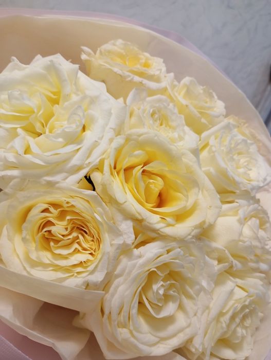 Гүл цветы букет  свежий