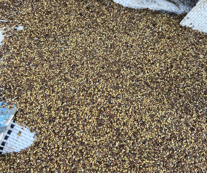 Vand samanta de lucerna