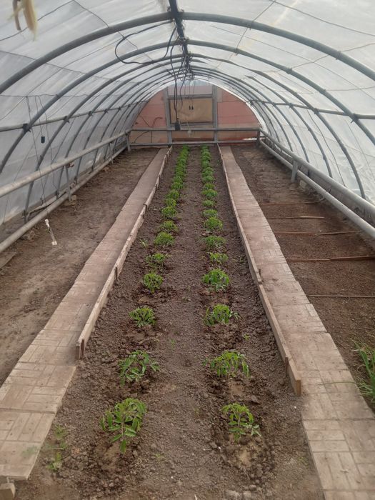 Продам теплицу..