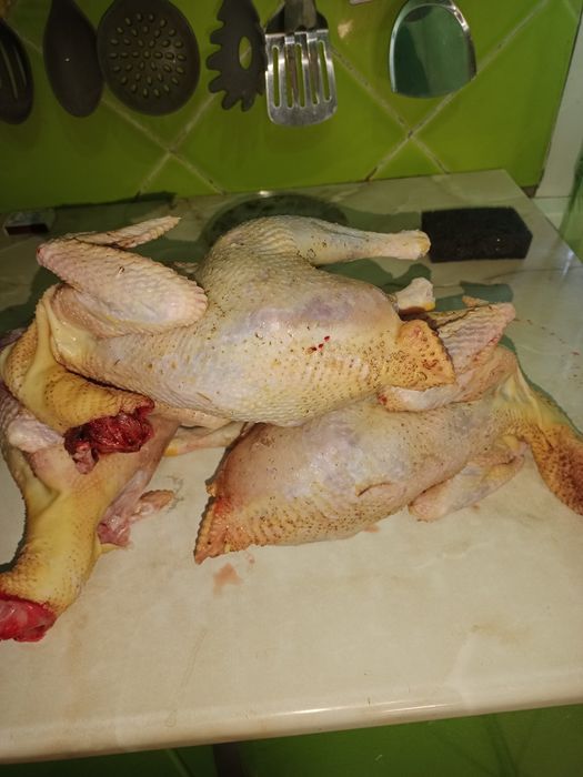 Продам мясо петушков