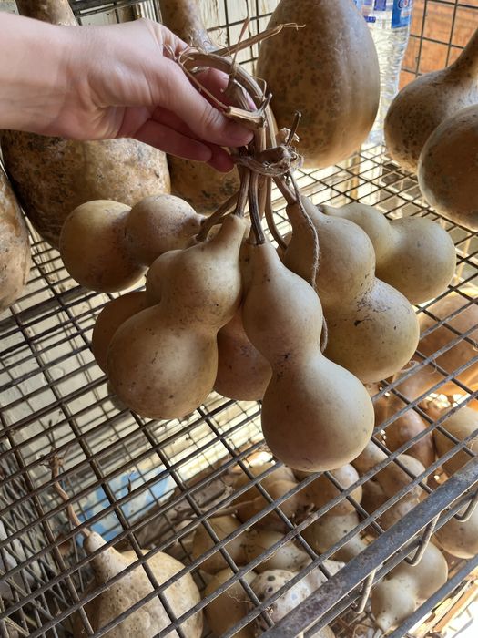 Кратуни различни по големина