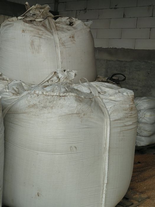 Vand ovaz si orzoaica de primavara