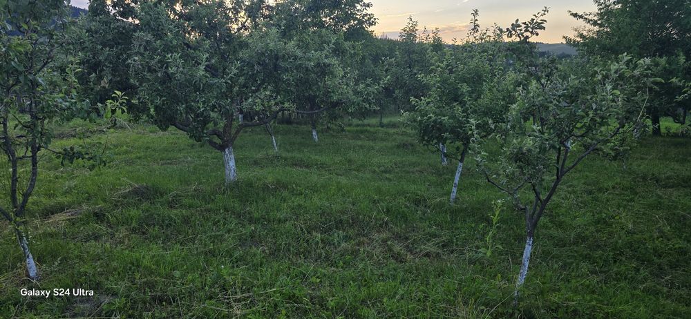 Teren Sat Filioara com Agapia