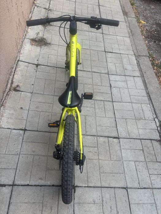 Scott Roxter 20”