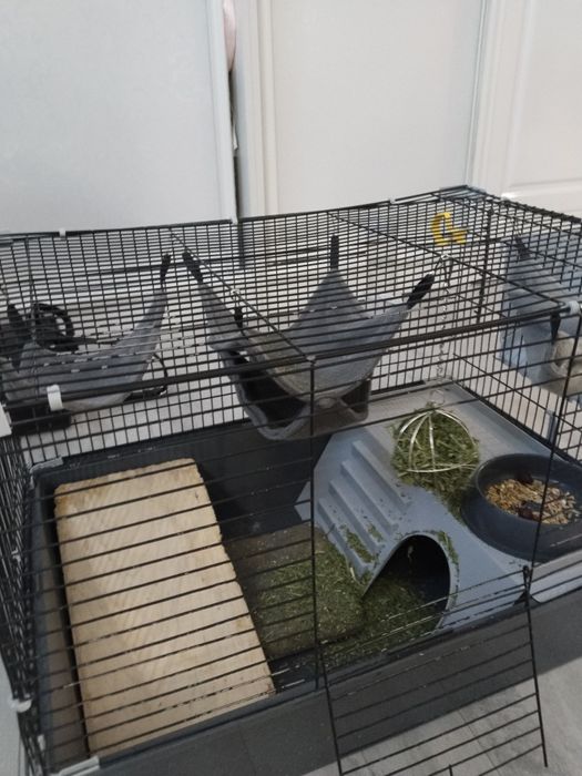 Продаётся шиншилла с клеткой