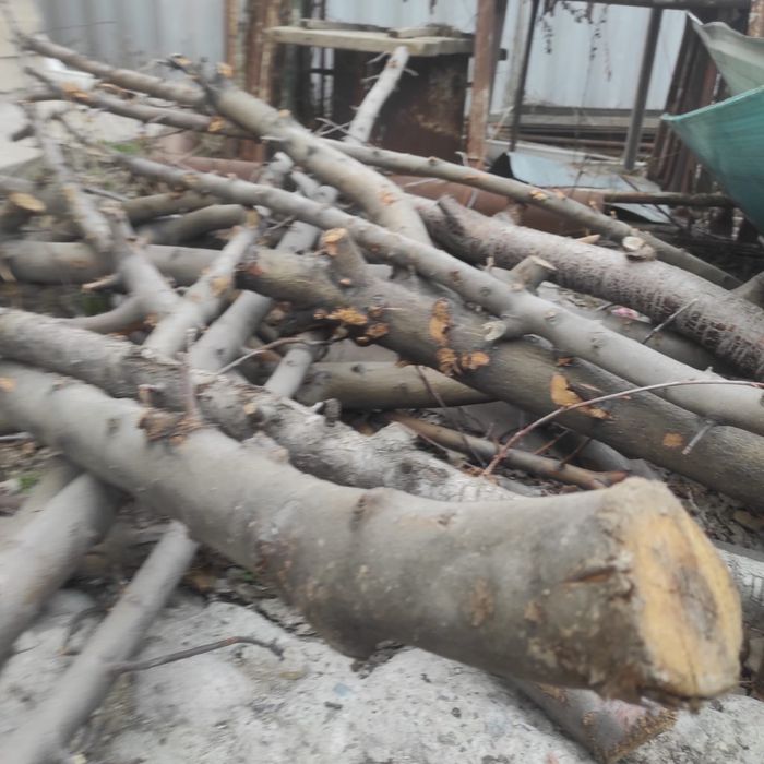 Дрова сухие продам