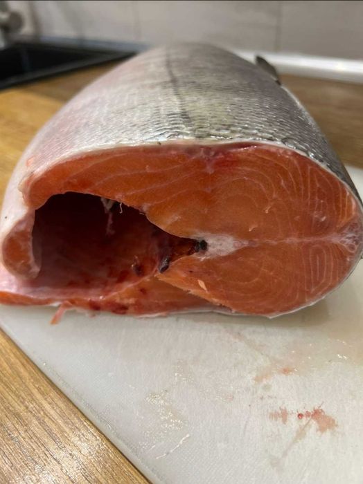 Рыба кета продажа