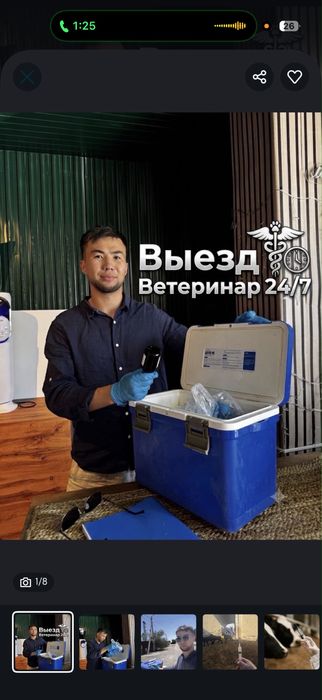 Дипломированный профессиональный ветеринарный врач в Шымкенте — 24/7
