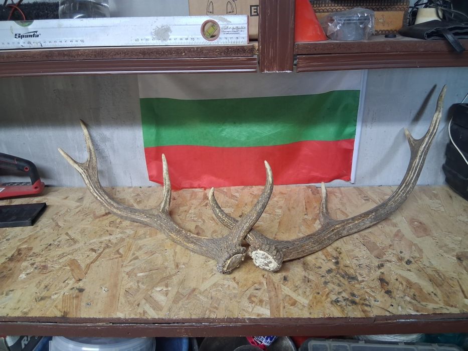 Продават се  2 броя
