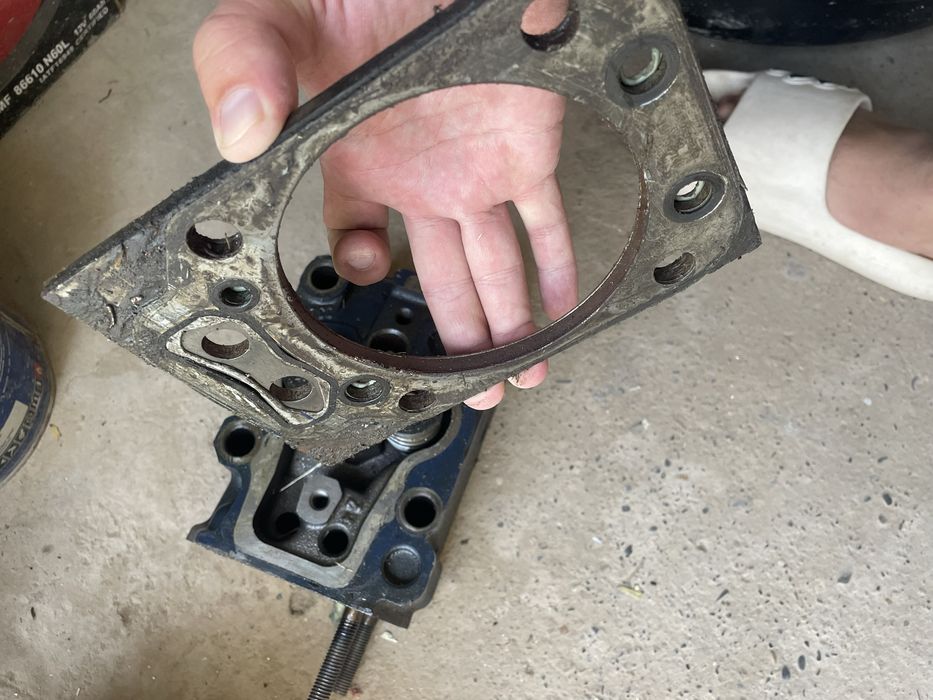 галофка чакман л3000