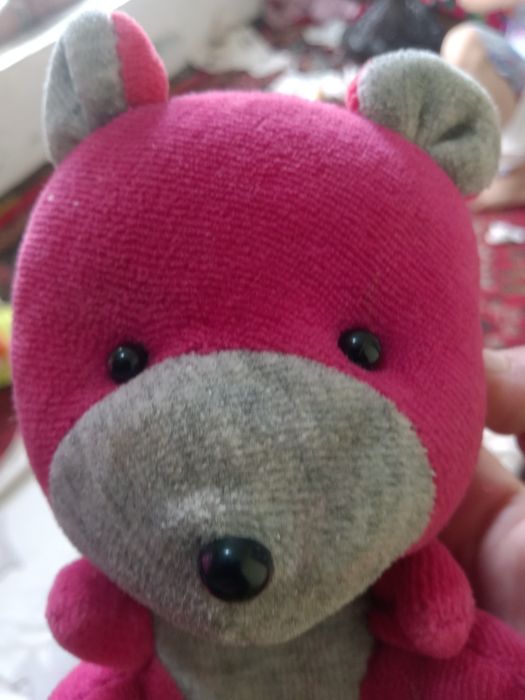 Ayiqcha  boʻyi 15 santimetr optom narxda