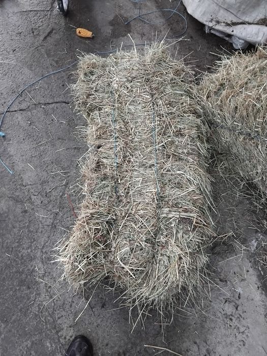 Baloti fan 80 buc. Tinuti in fanar