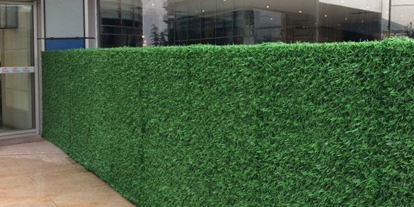 Yashil ekozabor Suniy Bargli setka Зелёный экозабор Декоративная сетка