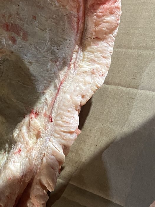 Туша конины откорм молодняк