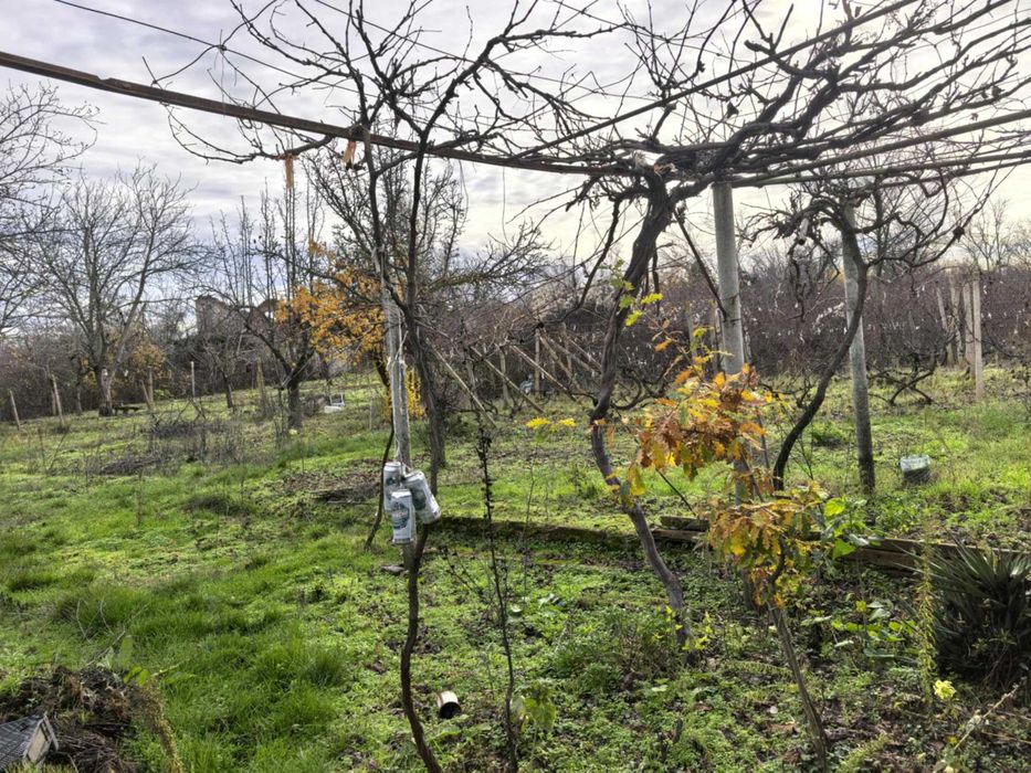 Продава се Къща в Плевен, м-т Мъртва долина - 20 кв.м за 424 €/кв.м - Снимка #3