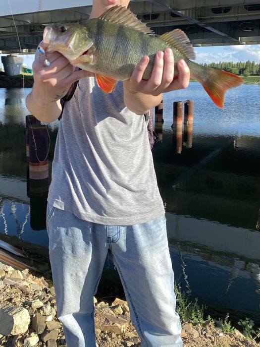 Спиннинг Daiwa NINJA Z 632ULFS ST