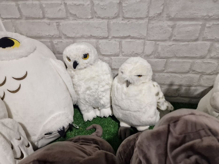 Хари Потър колекция