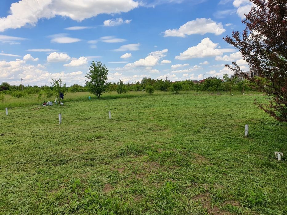 Teren Pipera proprietar